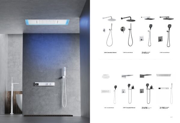 Concealed Installation Shower Series